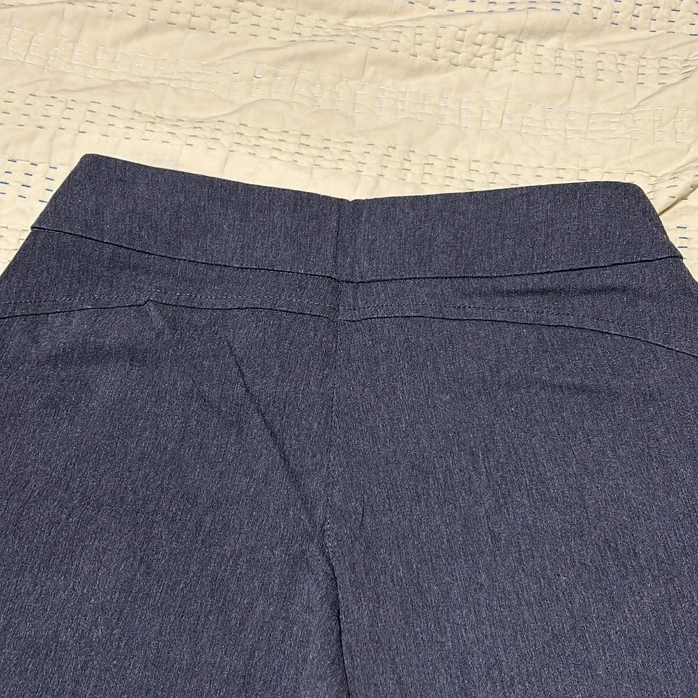 Westbound petites. Gray slacks. Size 10P regular. Great condition. Stretchy. - Picture 2 of 6